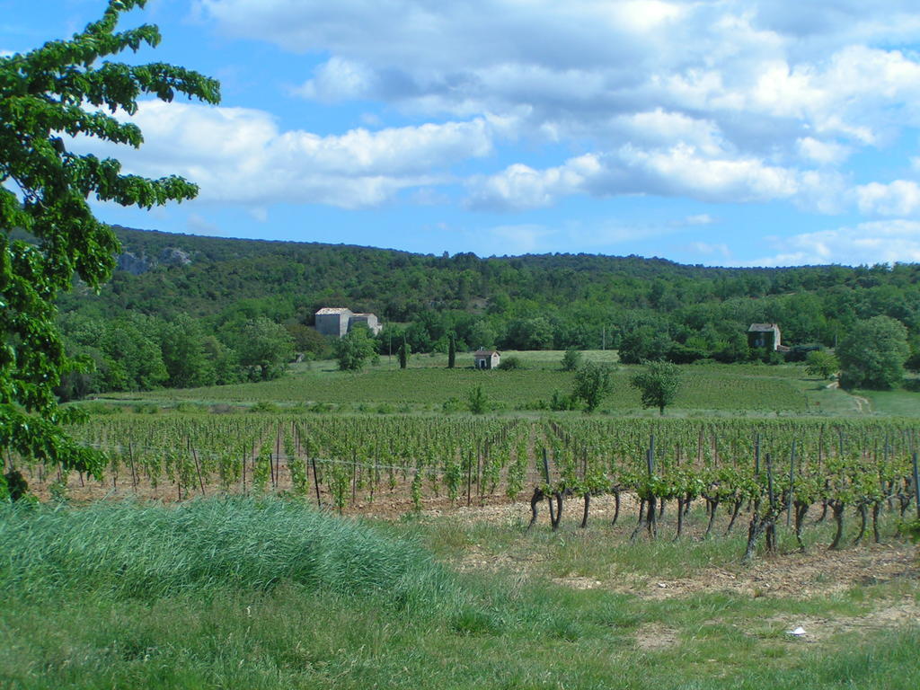 Апартаменти Aux Couleurs D'Ardeche Валлон-Пон-д'Арк Екстер'єр фото